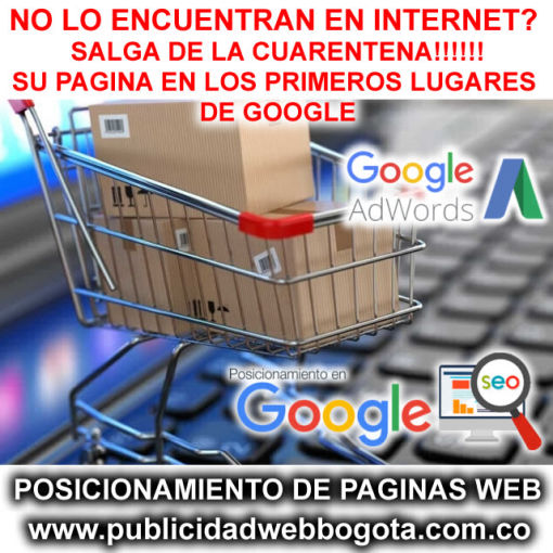 Posicionamiento de Paginas Web SEO y SEM